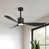 Black is unavailable