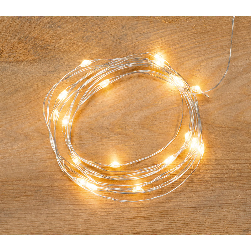 1'' Twinkle Globe String Lights