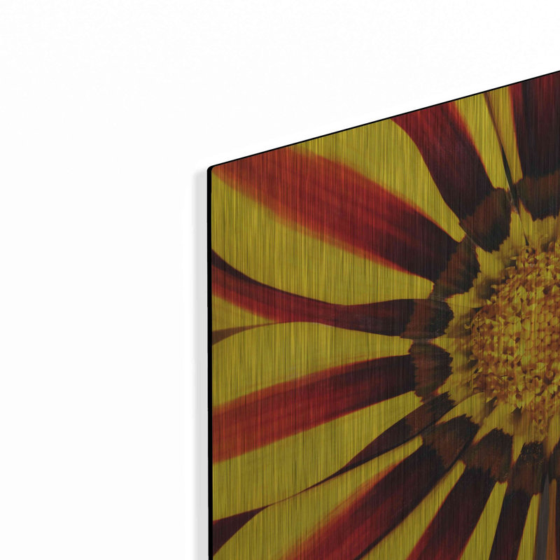 "Gazania" par Luxe, H 12 po x l 16 po