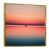 Gold Floater Framed Canvas