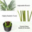 48 po Palmier Areca artificiel-1806458603
