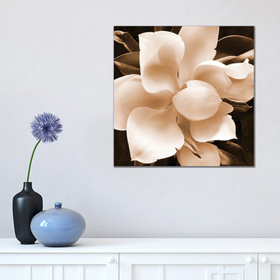 Sepia Magnolia II 1 Piece Wrapped Canvas Wall Art
