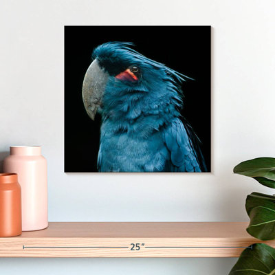 Brampt Blue Bird Portrait