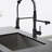 Topcraft Pull Down Single Handle Kitchen Faucet-70533710