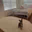Photos des clients 1 de 1
