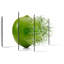 Yarlin Splash Of Lime