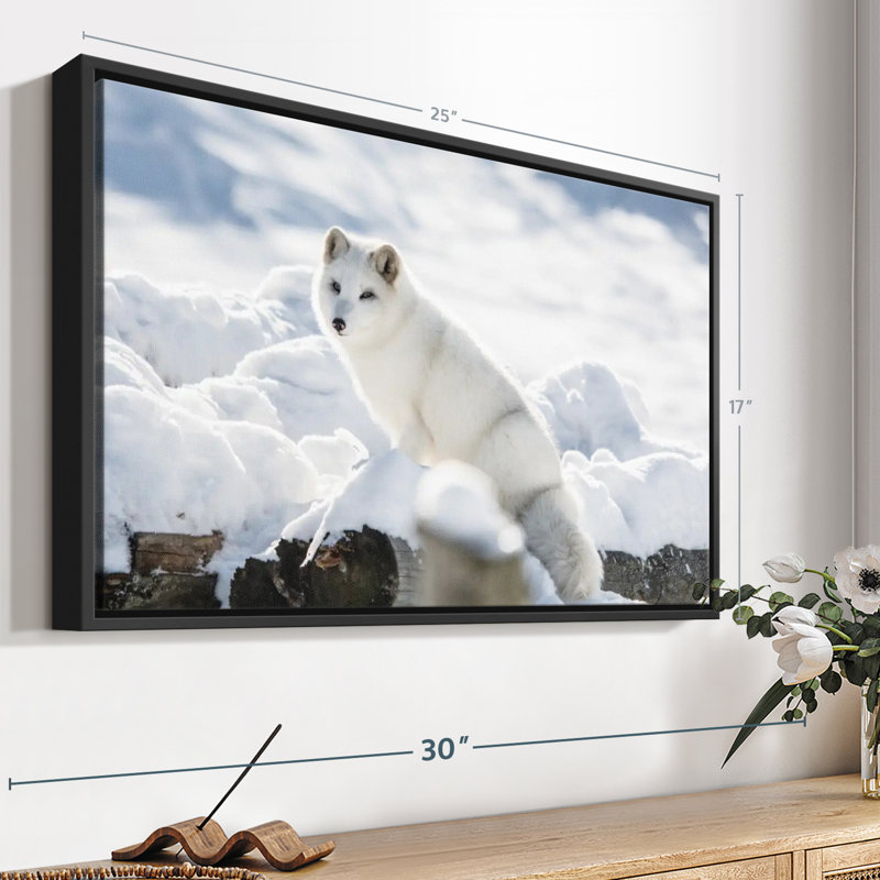 Impression sur toile renard arctique, H 17 po x l 25 po