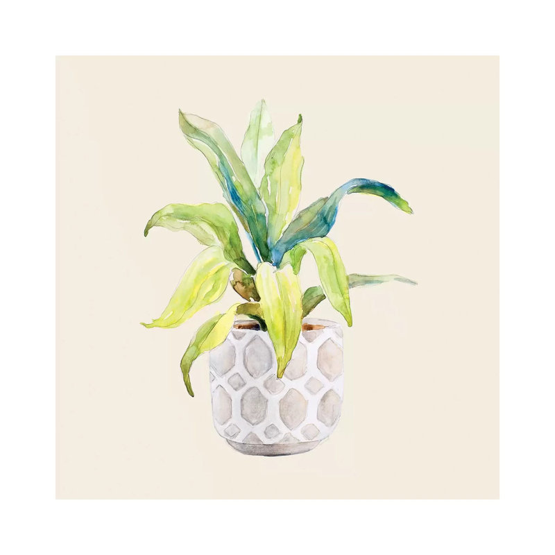Decorative Potted Plant I by Lanie Loreth - Wrapped Canvas Painting, 30.48 cm H x 30.48 cm W
