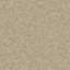 Roma Leather-1732715085