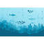 Papier peint requin océan-816277424