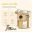 Aubree 57cm H Cat Tree