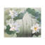 Magnifique fleur blanche sur toile de lotus-703336836