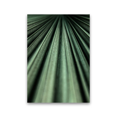 Green Palm Leaf 1 Piece Wall Art