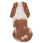 King Charles Spaniel Sitting Statue
