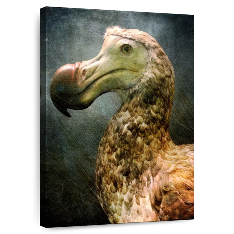 Magnifique dodo Brampt, H 12 po x l 8 po