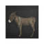 Burro Noche by Paul Meyer-424093370