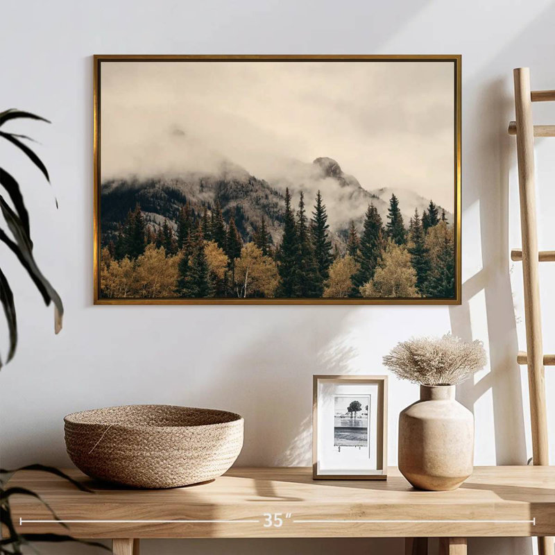Foggy Banff National Park, Cadre flottant doré, 25 po x 17 po