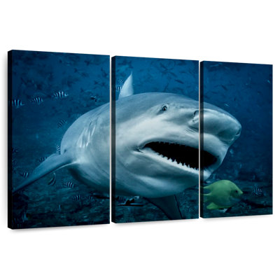 Requin-taupe en action
