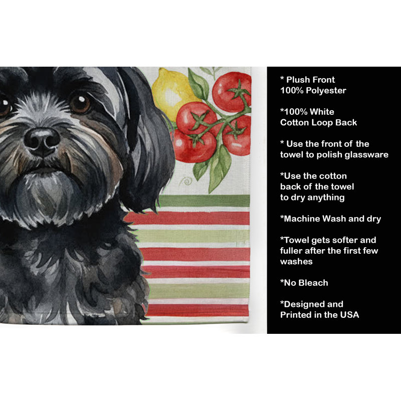 Torchon noir Lhasa Apso, Black Lhasa Apso