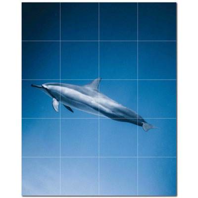 Dolphin Photo 12'' x 12'' Satin Ceramic Decorative Mural -  Picture-Tiles.com, PT500514-45XL