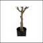 Plante artificielle, arbre d'eucalyptus de 46 po de hauteur, intérieur, faux, faux, plancher, verdure, pot, décoratif, feuilles vertes, pot noir