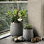 Pot de fleurs Dorlis Fiberstone-930299739-930299748
