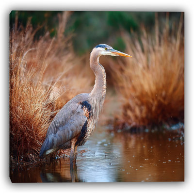 Marsh Sentinel II - art mural sur toile tendue, 20 x 20