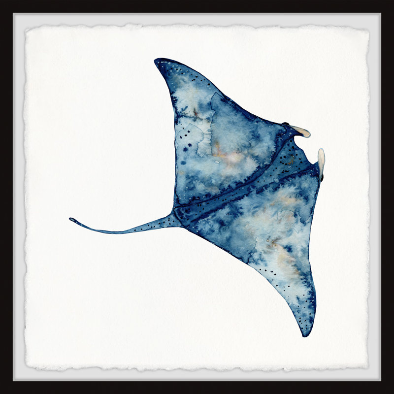 «Wild Stingray», reproduction encadrée, H 12 po x l 12 po x P 1,5 po