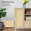 Allissa Wicker/Rattan Rectangle Accent Cabinet
