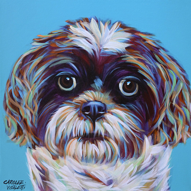Shih Tzu On Blue by Carolee Vitaletti - Wrapped Canvas Painting, 76cm H x 76cm W x 3.8cm D