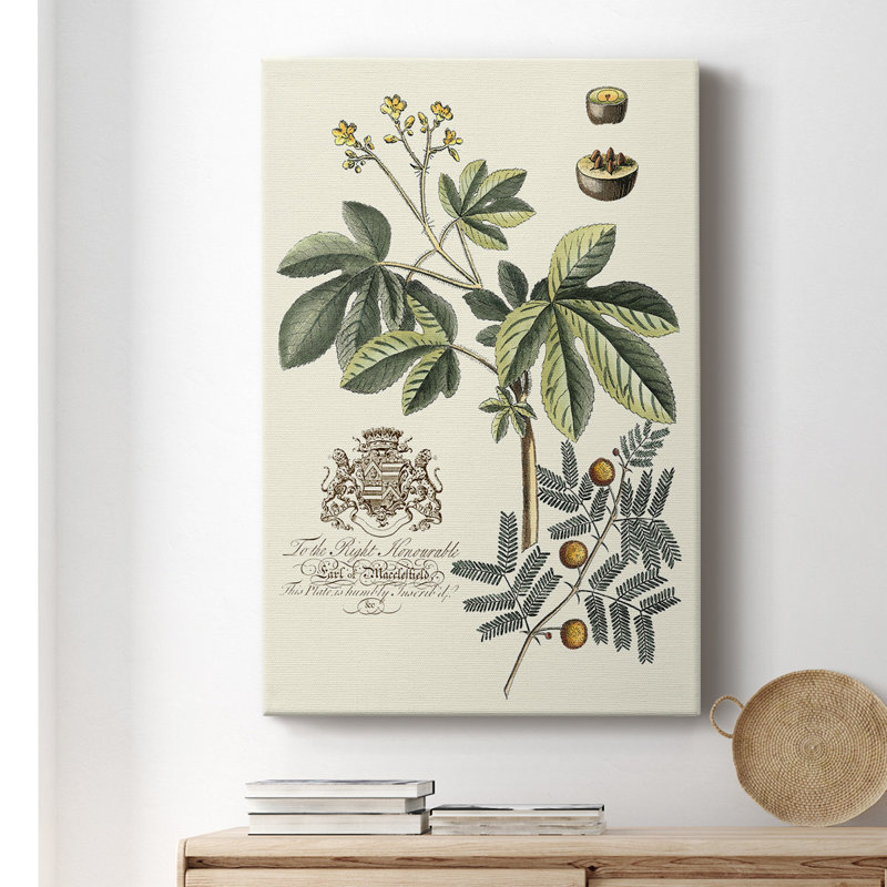 Imperial Foliage I - Wrapped Canvas Print, 18" H x 12" W x 1" D