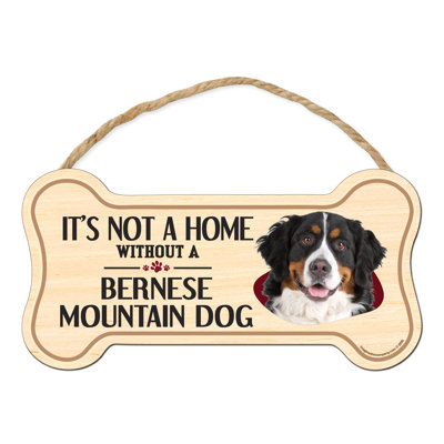 «It's Not a Home sans Our Bernese Mountain Dog»