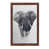 Brown Framed