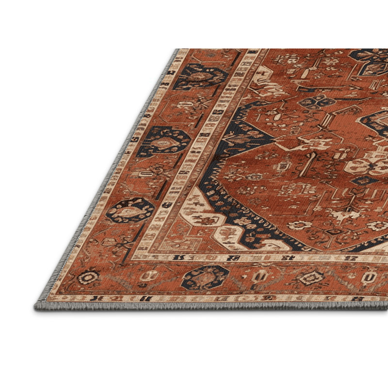 Tapis brun turc lavable à la machine, Rectangulaire 3 pi x 5 pi