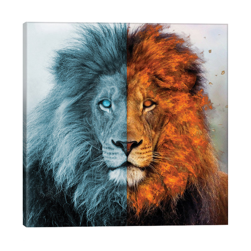 Aslan - Wrapped Canvas Print, 66.04 cm H x 66.04 cm W x 1.91 cm D