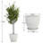 Artificial Eucalyptus Tree & Resin Round Plant Pots with Tray-1486852557-1488494847