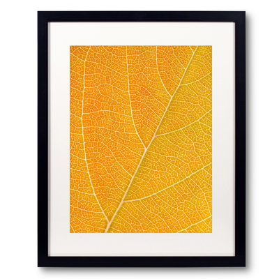 Autumn Leaf by Philippe Monthoux