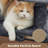 Burrowsville 46" H Cat Tree-1347313038