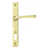 Aged Brass
