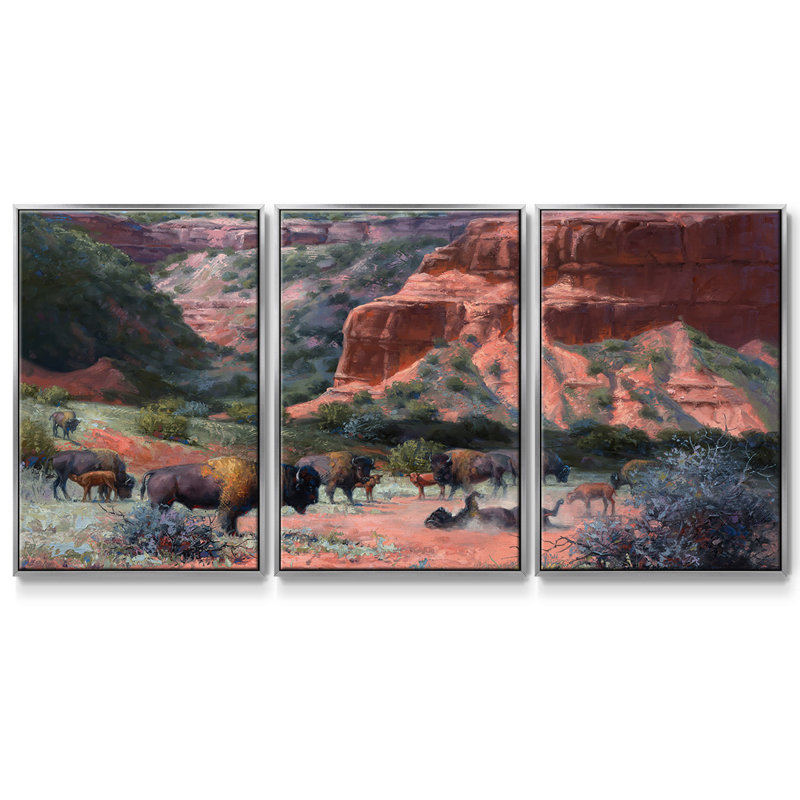 Caprock Canyon - Toile encadrée multi-pièces, H 36 po x l 75 po, Encadrement argenté
