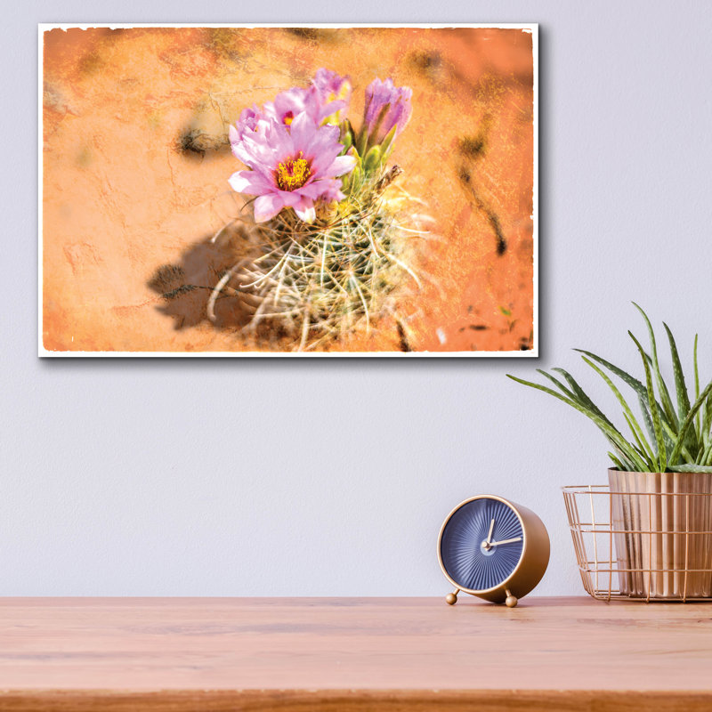 «Desert Flower 4» par Lightbox Journal, H 12 po x l 16 po x P 0,13 po