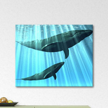 Stretched On Wooden Frame Print on Canvas, 80cm H x 100cm W x 2cm D