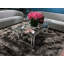 Noyer-68562346