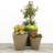 Self Watering Indoor/Outdoor Dot Planter-17023417-17049374