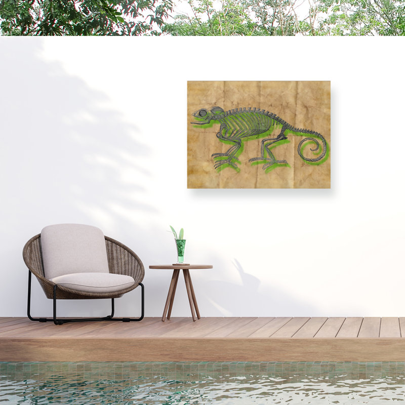 Toile d'extérieur vert sarcelle Marcus Jules Chameleon, H 14 po x l 19 po
