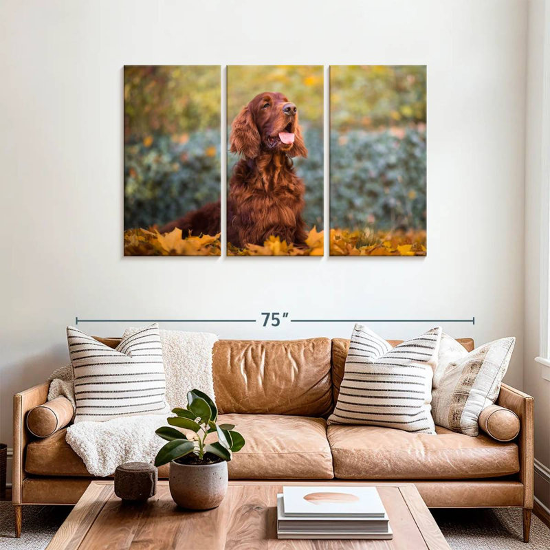 Setter irlandais en automne, H 36 po x l 57 po