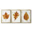 Autumn Leaf Study I - Toile tendue avec châssis sur mesure - 3 pièces-1497048689-1497048690