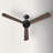 Climate III 52" DC Ceiling Fan with Remote Control, Modern Black Ceiling Fan with Reversible Blades-92349294