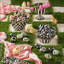 Courtly Stripe Tabletop Urn