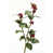 Burgundy Plum selected